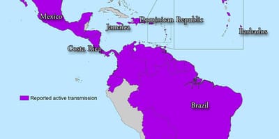 Kat jeyografik nan jamaica zika